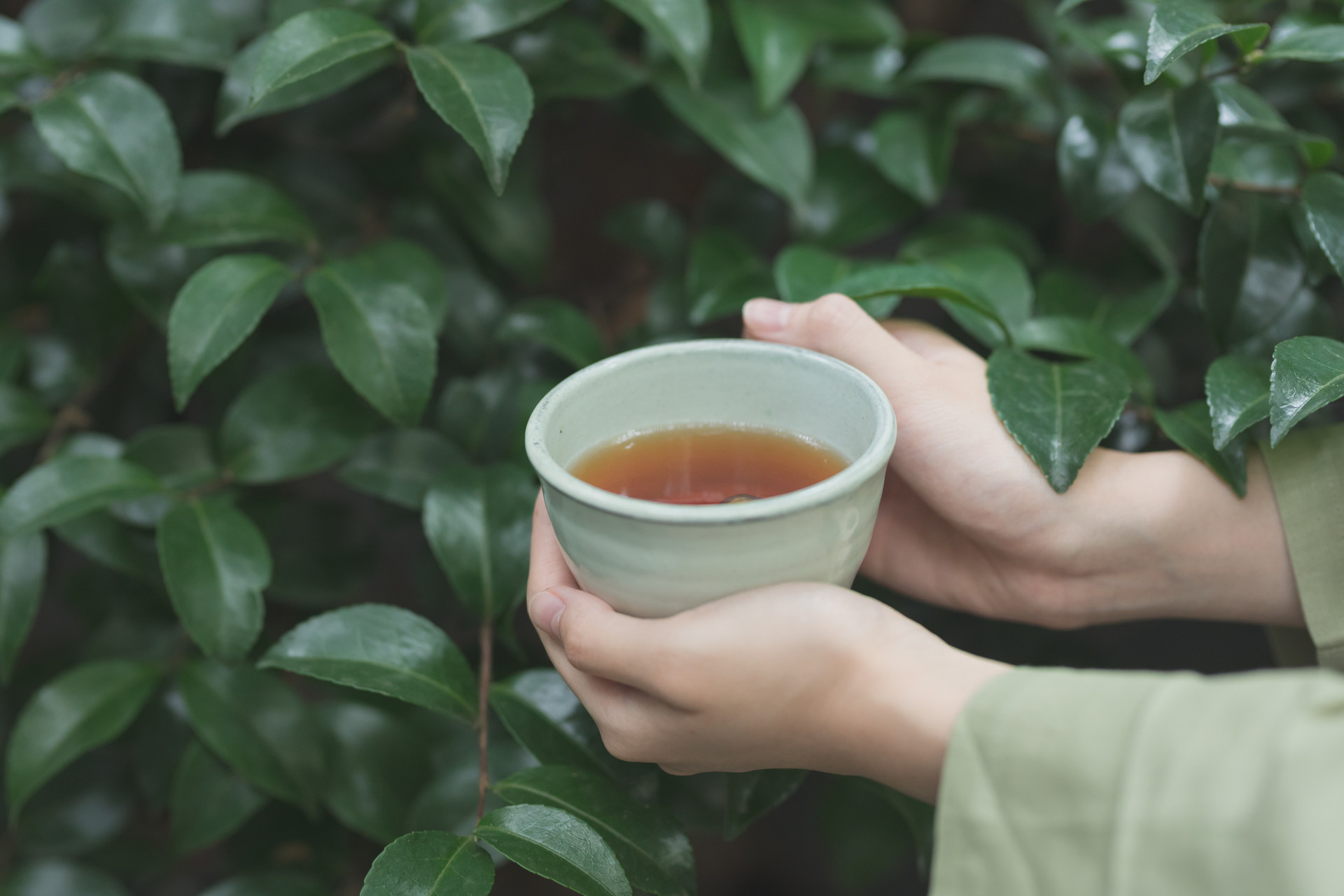 摄图网_500960858_手捧茶杯(仅交流学习使用).jpg